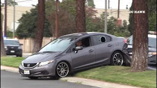 Wild LAPD pursuit ends in Lakewood