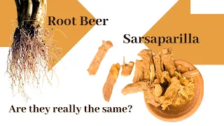 A brief thirst quenching history of Root beer and Sarsaparilla