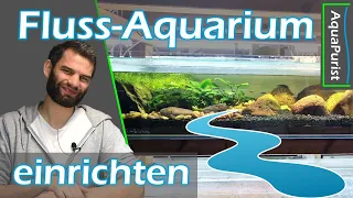 Alles im Fluss?! 🌊 Ein Bachaquarium einrichten mit starker Strömung & Besatz - Beckenvorstellung