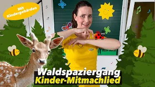WALD | Waldspaziergang | Natur | Kita | KINDERLIED | Kindermusik | Kindertanz | Floh im Ohr TV