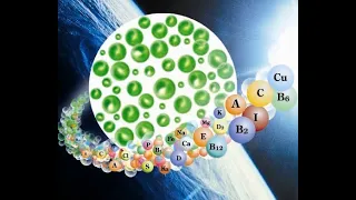 Общая информация о планктонном штамме хлореллы. Отличия, эффективность и потенциал.(Видео 1)