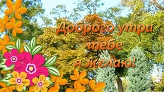 Доброе Осеннее Утро🌞Доброе Утро Хорошего Дня🌼Пожелания с Добрым Утром