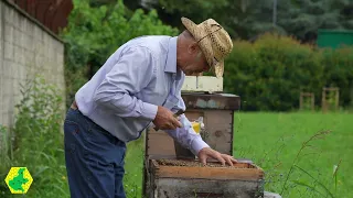 Blocco di Covata metodo Campese