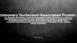 Medical vocabulary: What does Pulmonary Surfactant-Associated Protein D mean