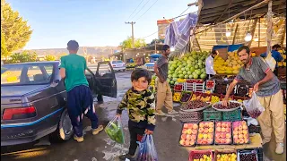 "Journey of the Nomadic Family: From the Mountain to the City to Sell Medicinal Herbs"