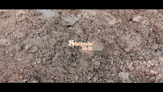Tori Martin - Steppin' In It (Official Music Video)