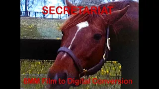 SECRETARIAT, THE most famous Racehorse in History!!!