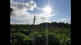 Шурф фундамента в заброшенной деревне.