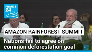 Amazon rainforest summit: Nations fail to agree on common deforestation goal • FRANCE 24 English