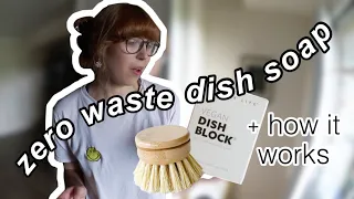 I tried out ZERO WASTE Dish Soap