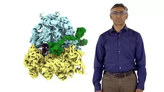 Ramanujan Hegde (MRC) 3: Recognition of Protein Localization Signals