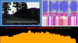 The Marble Mountain Bigfoot Video with the "White Noise" Removed to Reveal the Sounds of Sasquatch