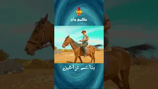 Talbi One  بنات تزاغين  Reggada 2023