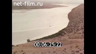 1982г. река Амударья. лжелопатонос. Туркменистан.