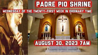 Padre Pio Live Sunday Mass Today Live 7AM August 30, 2023