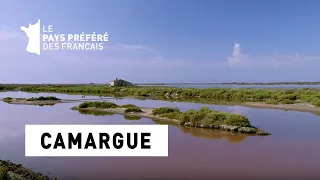 Camargue - Gard - Les 100 lieux qu'il faut voir - Documentaire