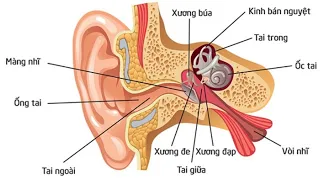 Tìm hiểu về bệnh điếc đột ngột - Tư vấn sức khỏe | Trực tiếp ngày 23/07/2021 trên Radio97