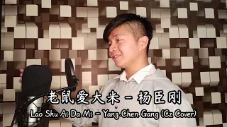 老鼠爱大米 (Lao Shu Ai Da Mi) - 杨臣刚 (Yang Chen Gang) | Cz Cover