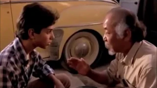 Karate Kid Mr. Miyagi Lesson "Squished Like Grape"