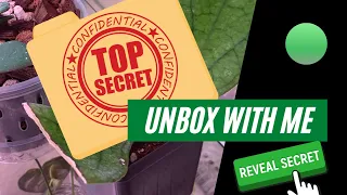 Unbox with me/Hoya Jennifer/Hoya Merrilli/Plant unboxing/Mercai/Homestead Plants