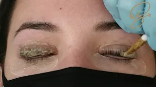 Lash Lift & Tint service in only 30 mins! Bee Pampered Accelerated Lash Lift & Tint Training Video