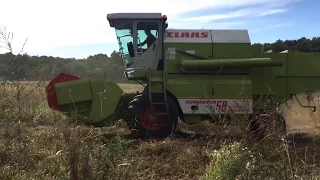 Claas Dominator 58 Spezial Branko 1