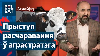 ❗🐄 Лукашэнка выкрыў сельскагаспадарчую мафію / Атмасфера