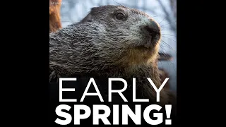 Punxsutawney Phil did not see shadow, predicts for early spring!