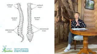 Проблема позвоночного столба и проблема внутренних органов