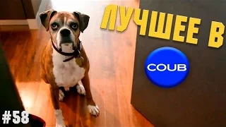 Лучшие приколы COUB! The best jokes COUB! № 58