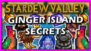 Stardew Valley |7 Ginger Island Secrets You Might not Know about!!