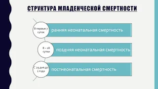 Материнская смертность. Младенческая смертность. Перинатальная смертность. ФИП.