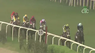 #videos #rwitc 2024Queen of India Race Course If you haven't seen this race, what have you seen?