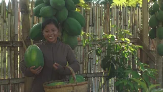 'Preservation of Food' The Making of  'Atchara'  Pickled Papaya and Tinibu-ok na Manok