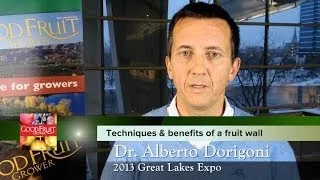 Techniques & benefits of a fruit wall