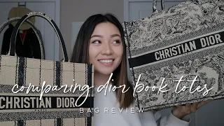 DIOR BOOK TOTE COMPARISON: SMALL VS. ORIGINAL | ALYSSA LENORE