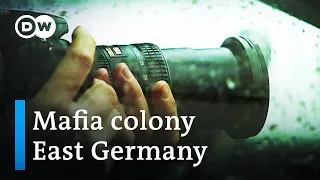 Hidden Mafia in Germany’s former East  | DW Documentary