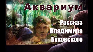 Рассказ Владимира Буковского "Аквариум".