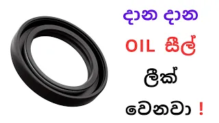 දාන දාන ඔයිල් සීල් ලීක් වෙනවා ! | Every Replacing Oil Seal is Leaking, Why ?