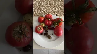 Our home grown tomatoes and deception in the Ketchup Industry