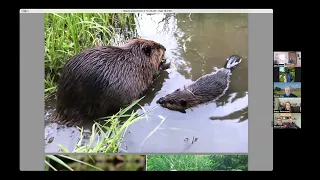 Beavers and Agriculture