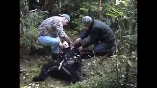 Black Bear Hunt - part 4 of 4