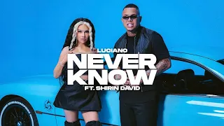 (1H) LUCIANO feat SHIRIN DAVID - NEVER KNOW | 1 Stunde