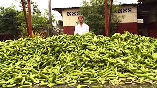 Tristram Stuart: The Beauty of Ugly Food | Nat Geo Live