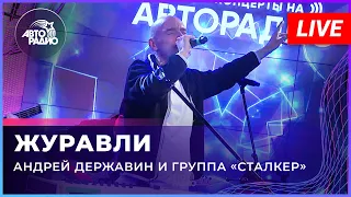 Андрей Державин - Журавли (LIVE@2022)