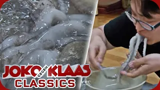 Südkorea: Klaas soll einen lebendigen Oktopus essen! | Duell um die Welt Classics | ProSieben