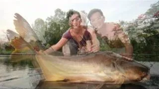 45KG & 60KG Giant Mekong Catfish Fishing Thailand By BKKGUY