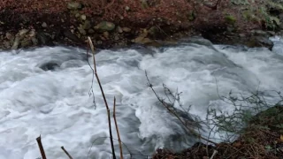 Big Sur After 10 Inches of Rain