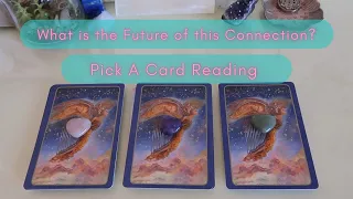 What Is The Future Of This Connection? | Pick A Card Reading