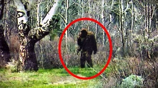 5 Strange Bigfoot Sightings Caught on Camera